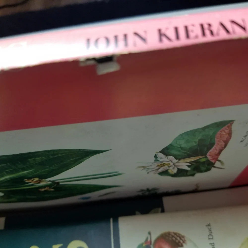 Rare 3 book set by John Kieran. An Intro to Nature. Birds, Wildflowers, Trees - Picture 8 of 11